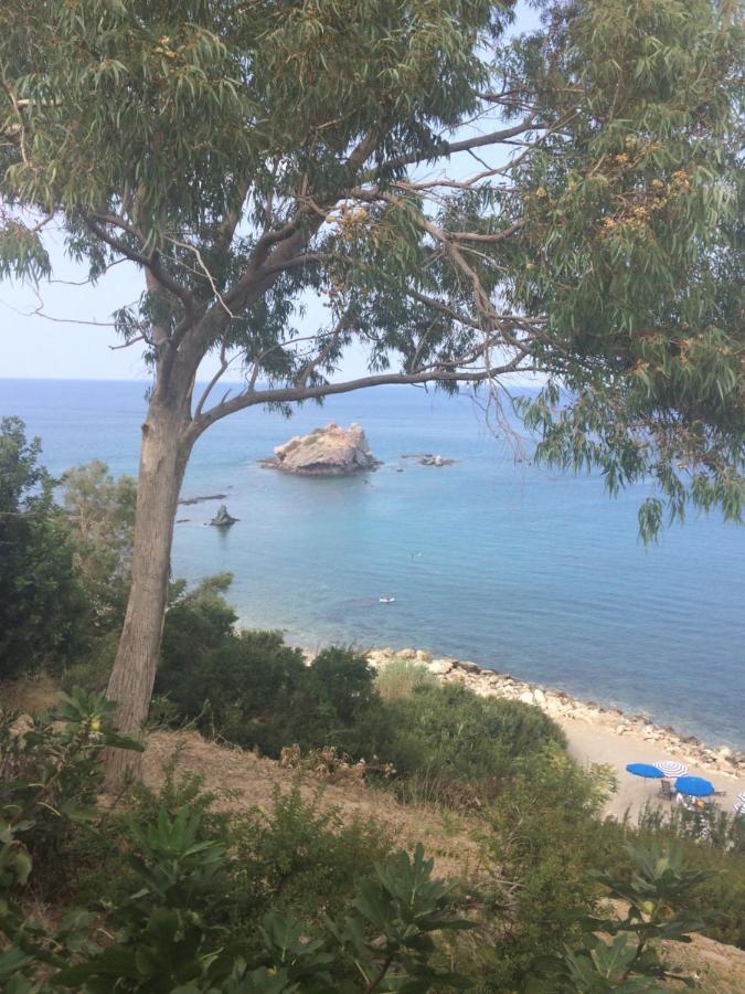 Andromeda Beach House Polis 外观 照片