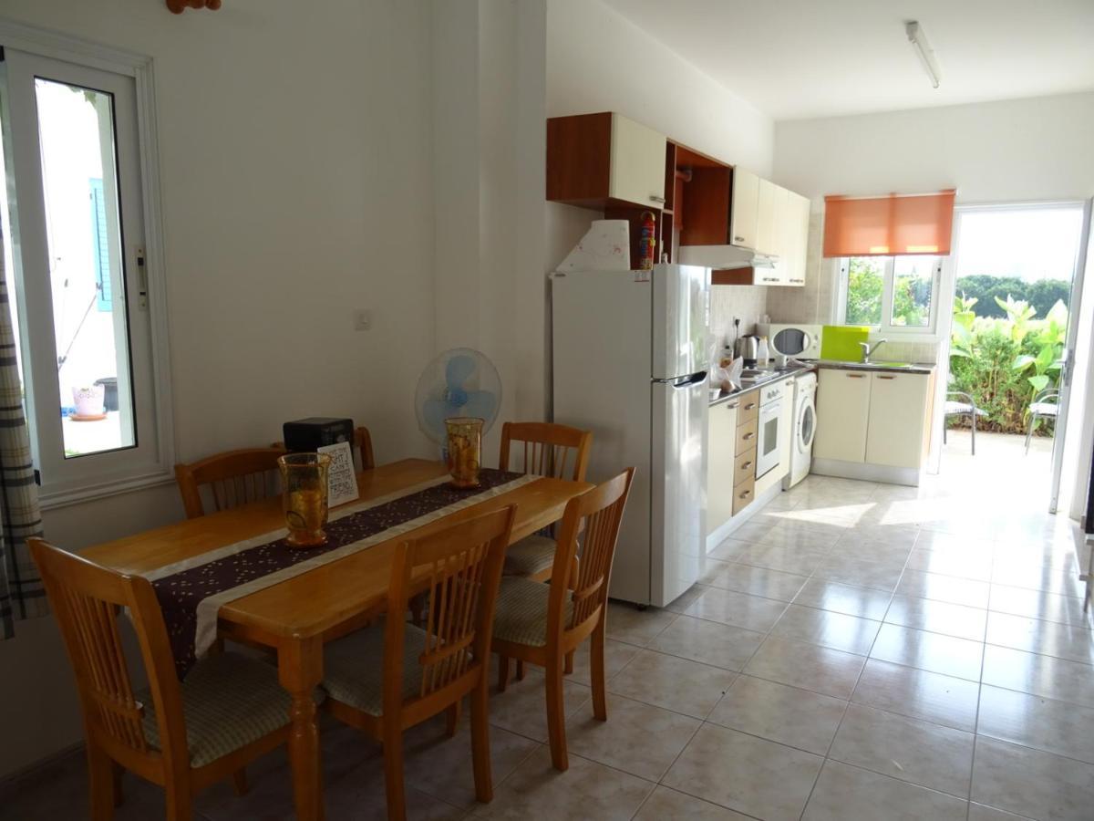 Andromeda Beach House Polis 外观 照片