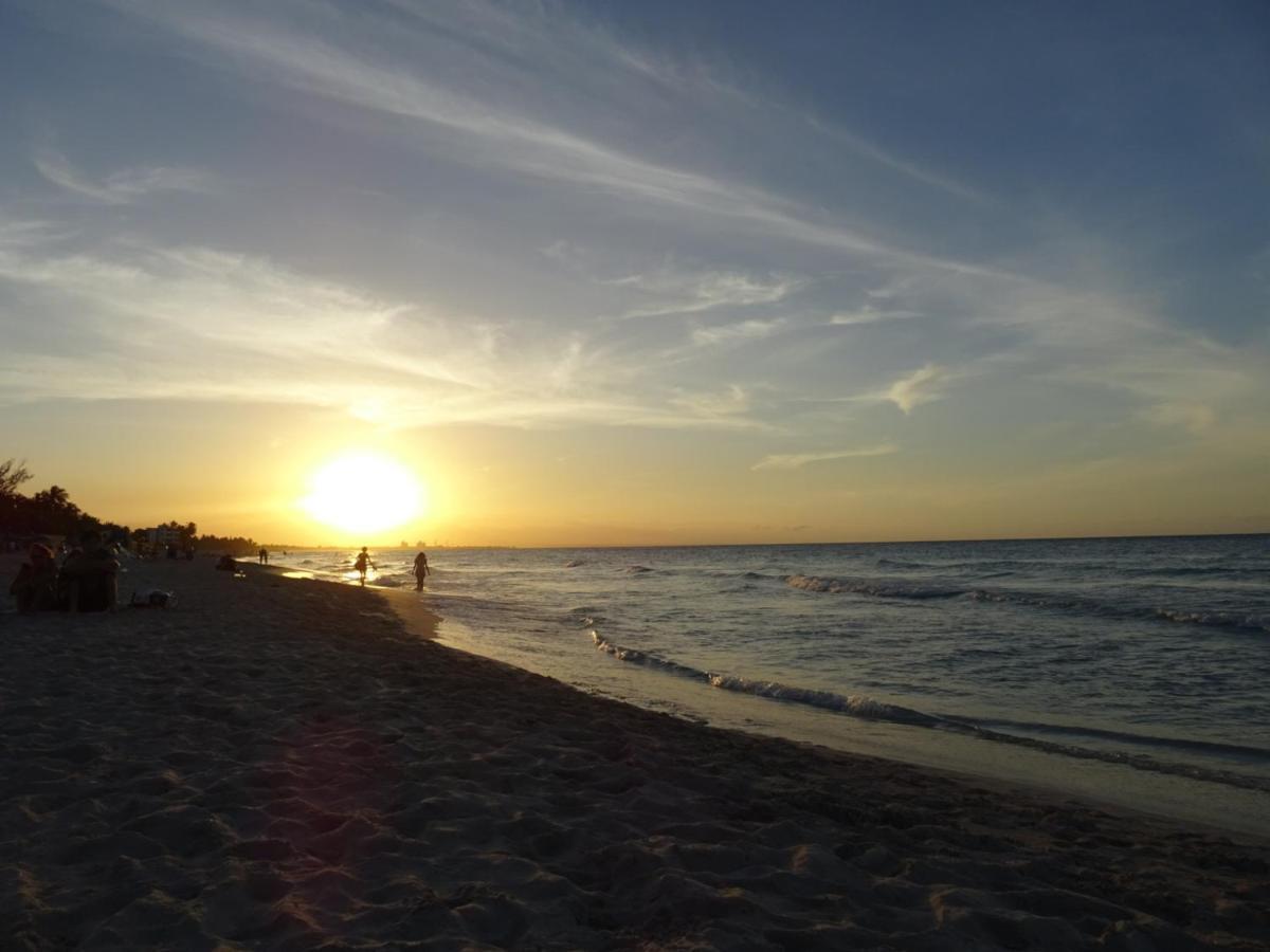 Andromeda Beach House Polis 外观 照片