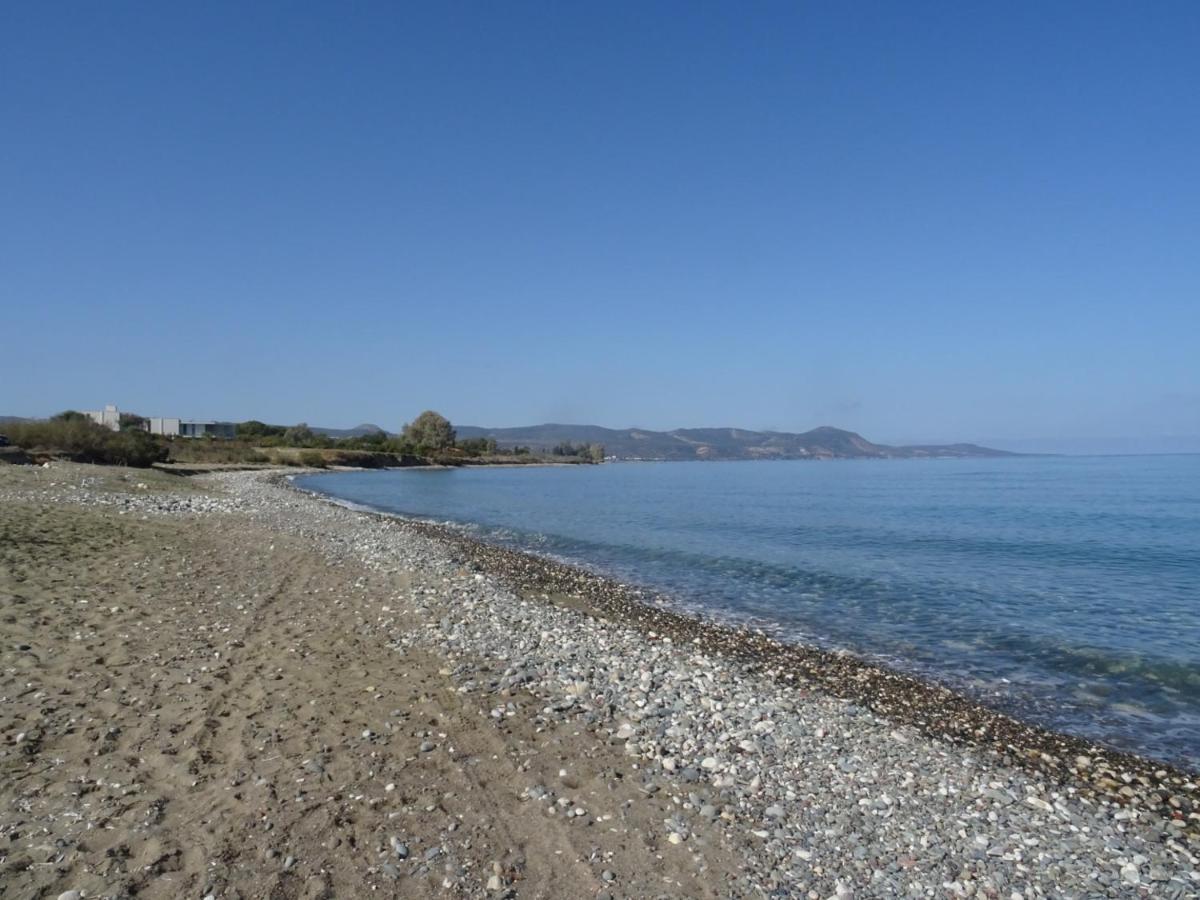 Andromeda Beach House Polis 外观 照片